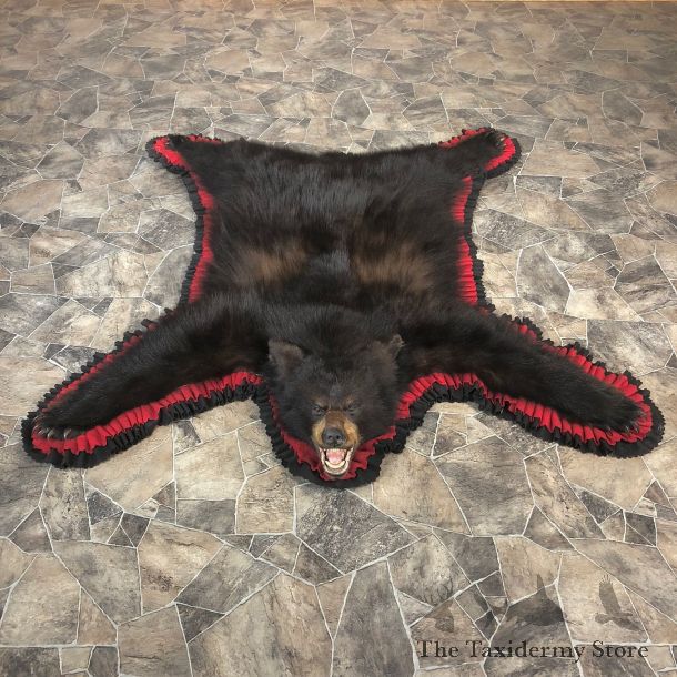 Black Bear Full-Size Rug For Sale #20086 @ The Taxidermy Store