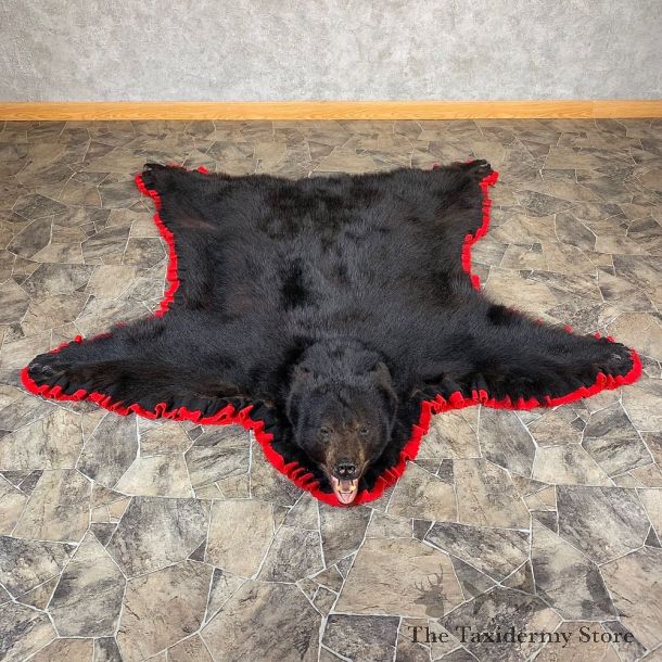 Black Bear Full-Size Rug For Sale #21166 @ The Taxidermy Store