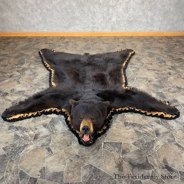 Black Bear Full-Size Rug For Sale #21172 @ The Taxidermy Store