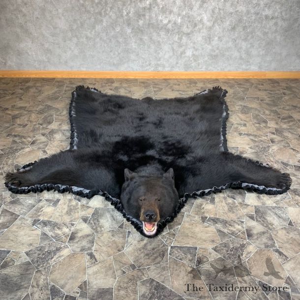 Black Bear Full-Size Rug For Sale #21174 @ The Taxidermy Store