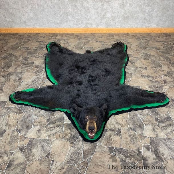 Black Bear Full-Size Rug For Sale #21175 @ The Taxidermy Store