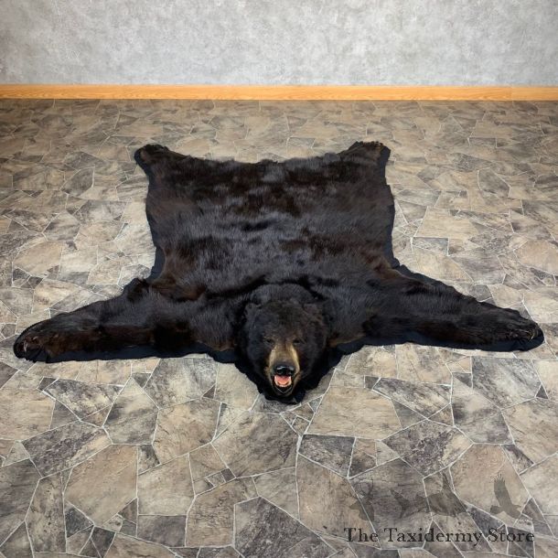 Black Bear Full-Size Rug For Sale #21177 @ The Taxidermy Store