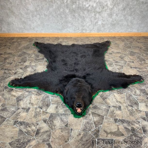 Black Bear Full-Size Rug For Sale #21179 @ The Taxidermy Store