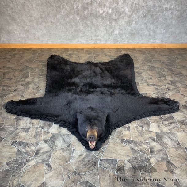 Black Bear Full-Size Rug For Sale #21959 @ The Taxidermy Store