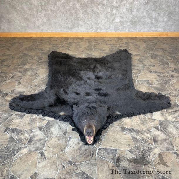Black Bear Full-Size Rug For Sale #21960 @ The Taxidermy Store