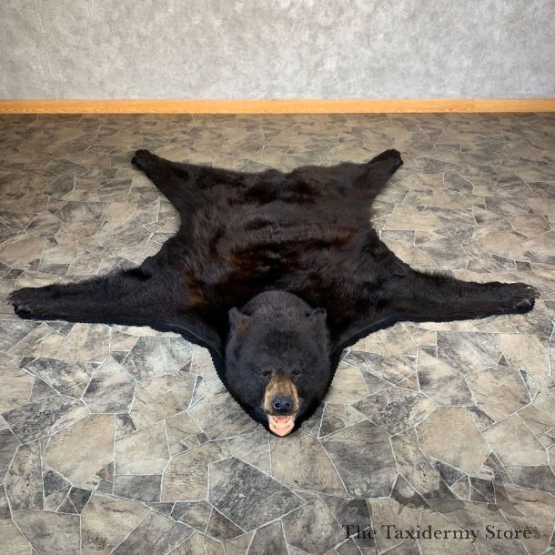 Black Bear Full-Size Rug For Sale #21961 - The Taxidermy Store