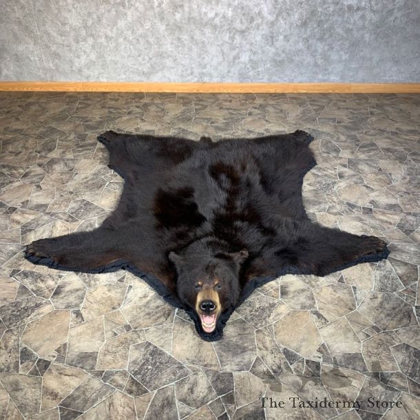 Black Bear Full-Size Rug For Sale #22107 @ The Taxidermy Store