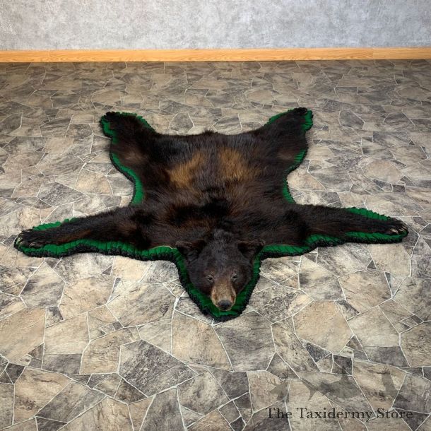 Black Bear Full-Size Rug For Sale #22108 @ The Taxidermy Store