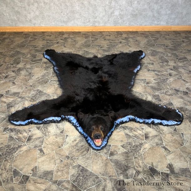 Black Bear Full-Size Rug For Sale #22109 @ The Taxidermy Store