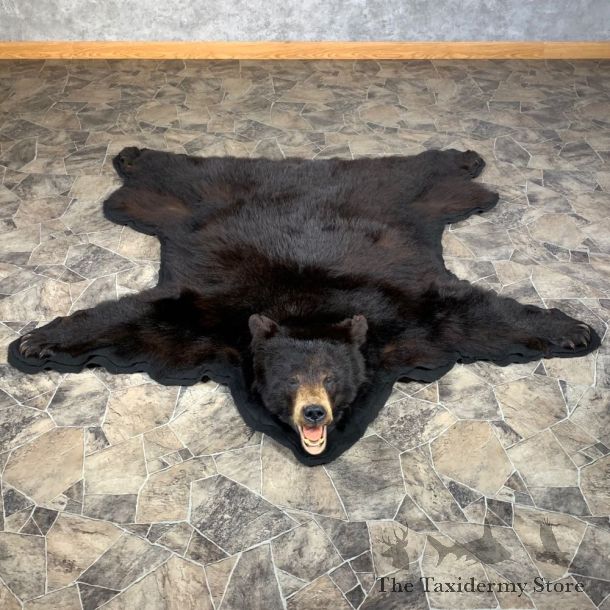Black Bear Full-Size Rug For Sale #22111 @ The Taxidermy Store