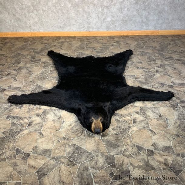 Black Bear Full-Size Rug For Sale #22112 @ The Taxidermy Store