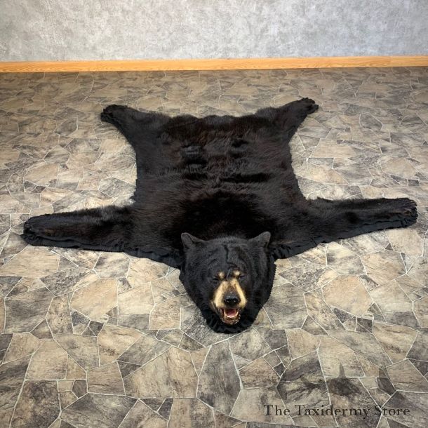 Black Bear Full-Size Rug For Sale #22114 @ The Taxidermy Store