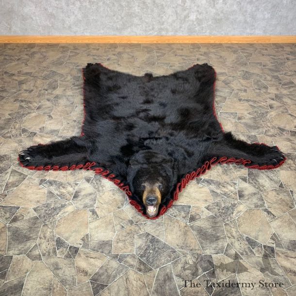 Black Bear Full-Size Rug For Sale #22533 @ The Taxidermy Store