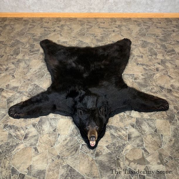 Black Bear Full-Size Rug For Sale #22534 @ The Taxidermy Store