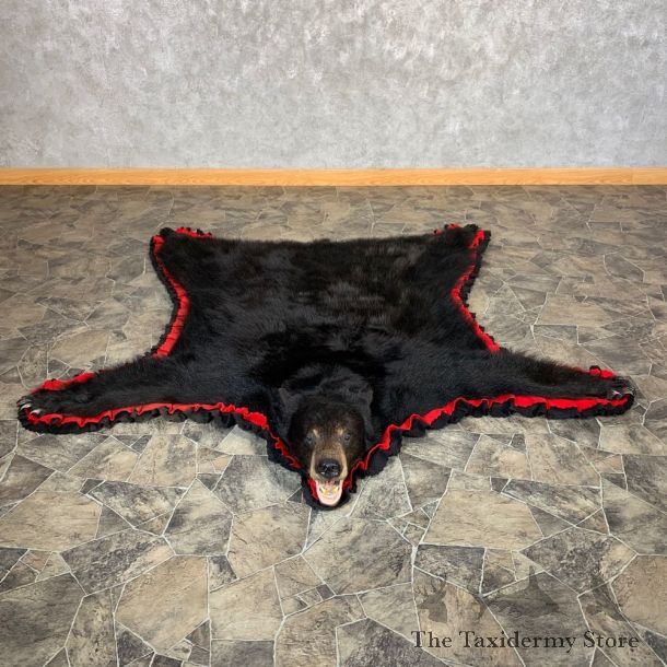 Black Bear Full-Size Rug For Sale #22536 @ The Taxidermy Store