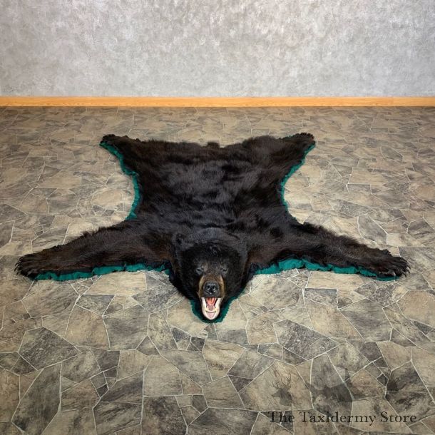 Black Bear Full-Size Rug For Sale #22538 @ The Taxidermy Store