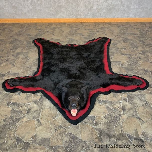 Black Bear Full-Size Rug For Sale #22547 @ The Taxidermy Store