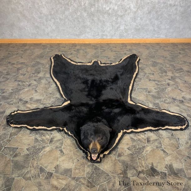 Black Bear Full-Size Rug For Sale #22693 @ The Taxidermy Store