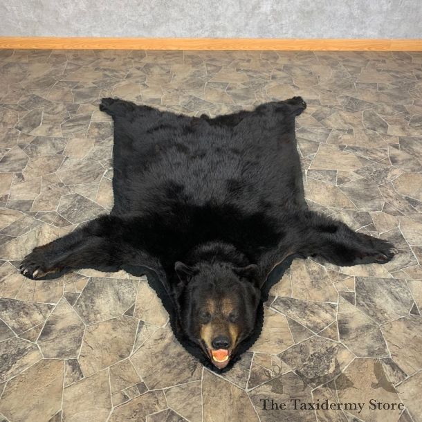 Black Bear Full-Size Rug For Sale #22694 @ The Taxidermy Store