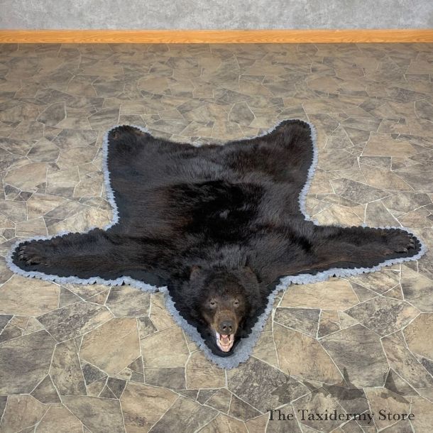 Black Bear Full-Size Rug For Sale #22699 @ The Taxidermy Store