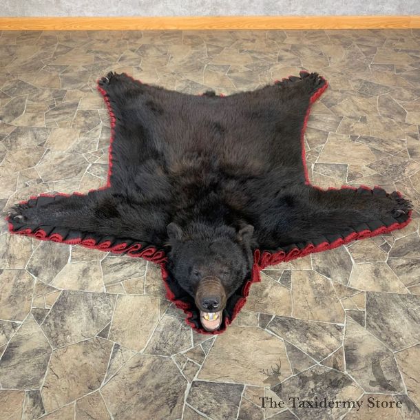 Black Bear Full-Size Rug For Sale #23030 @ The Taxidermy Store