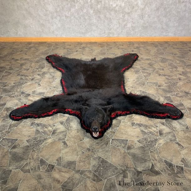 Black Bear Full-Size Rug For Sale #23031 @ The Taxidermy Store