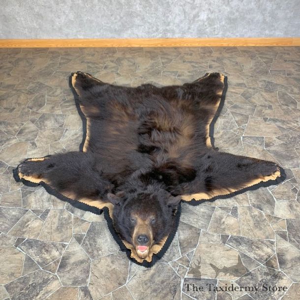 Black Bear Full-Size Rug For Sale #23319 @ The Taxidermy Store