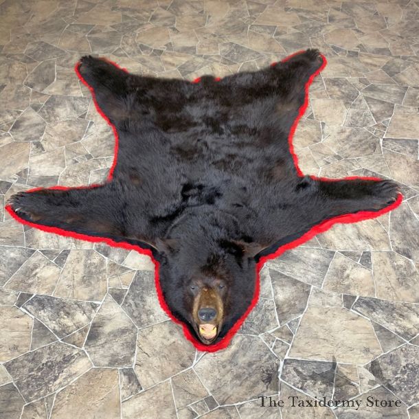 Black Bear Full-Size Rug For Sale #23320 @ The Taxidermy Store