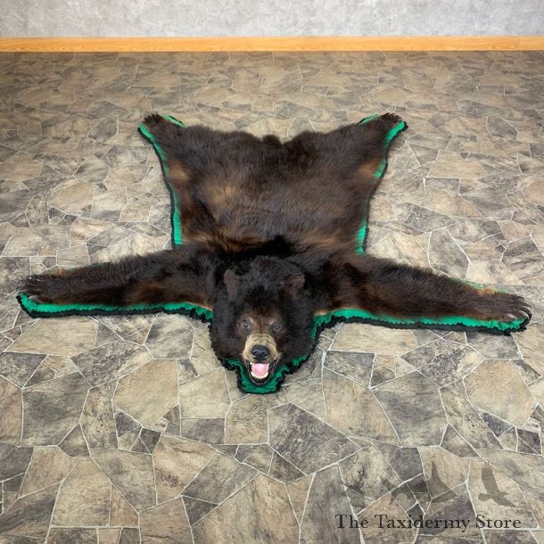 Black Bear Full-Size Rug For Sale #23321 @ The Taxidermy Store