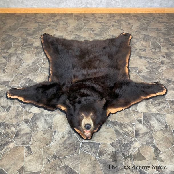 Black Bear Full-Size Rug For Sale #23324 @ The Taxidermy Store