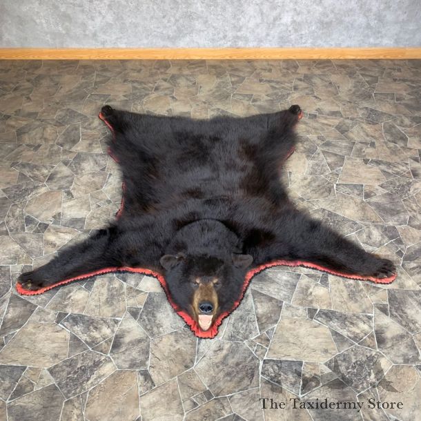 Black Bear Full-Size Rug For Sale #23325 @ The Taxidermy Store