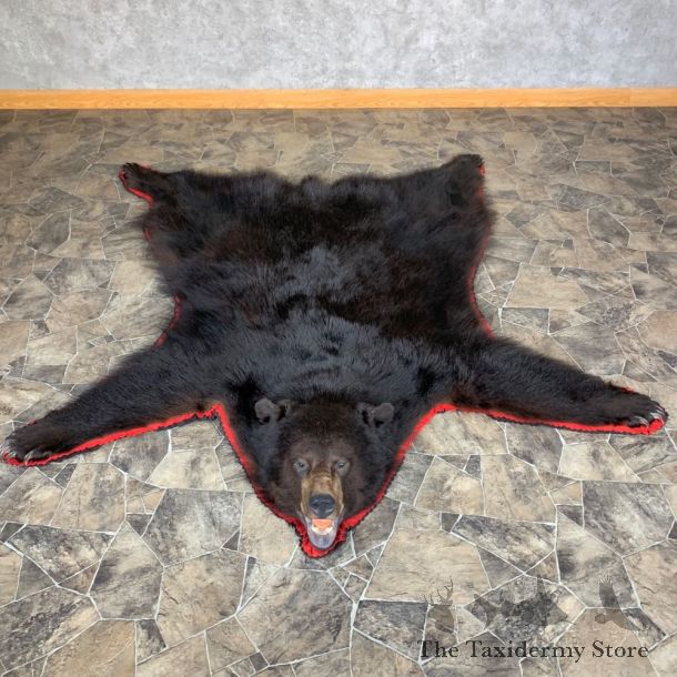 Black Bear Full-Size Rug For Sale #23326 @ The Taxidermy Store