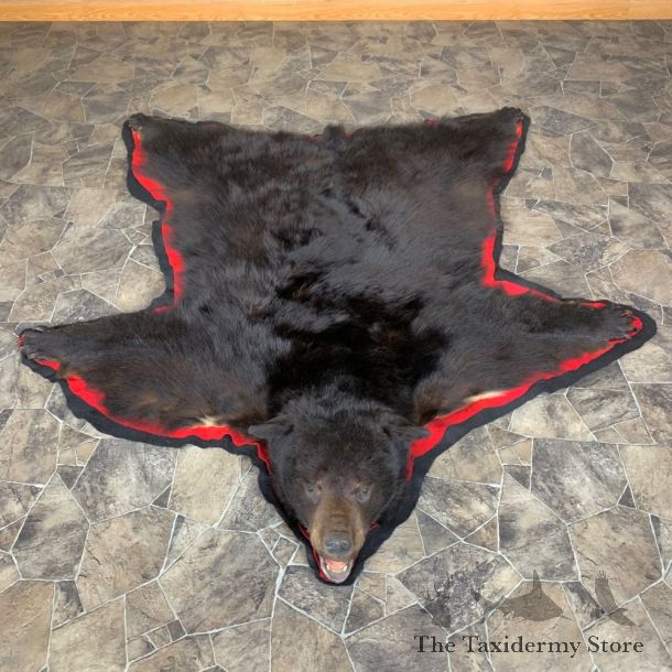 Black Bear Full-Size Rug For Sale #23327 @ The Taxidermy Store