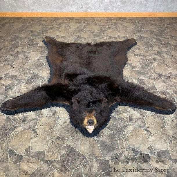 Black Bear Full-Size Rug For Sale #23330 @ The Taxidermy Store