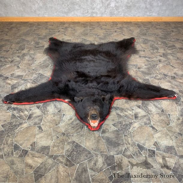 Black Bear Full-Size Rug For Sale #23332 @ The Taxidermy Store