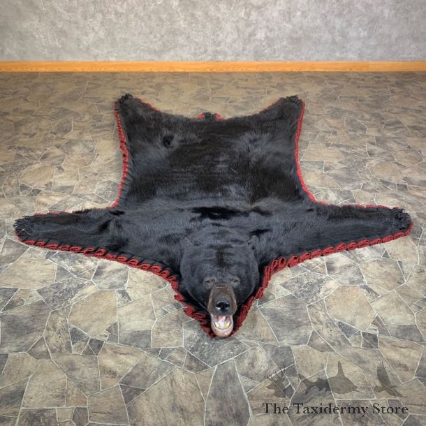 Black Bear Full-Size Rug For Sale #23665 @ The Taxidermy Store
