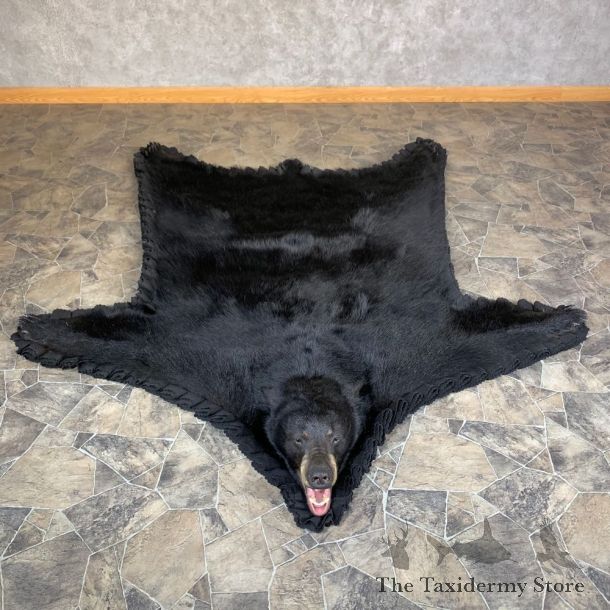 Black Bear Full-Size Rug For Sale #23667 @ The Taxidermy Store