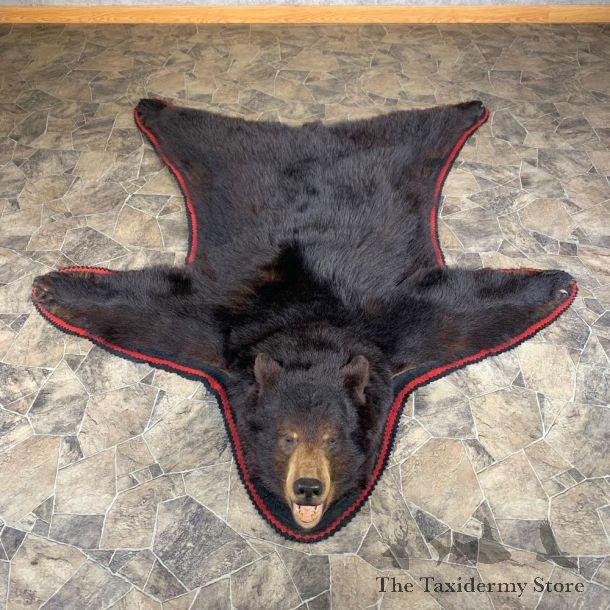 Black Bear Full-Size Rug For Sale #23999 @ The Taxidermy Store