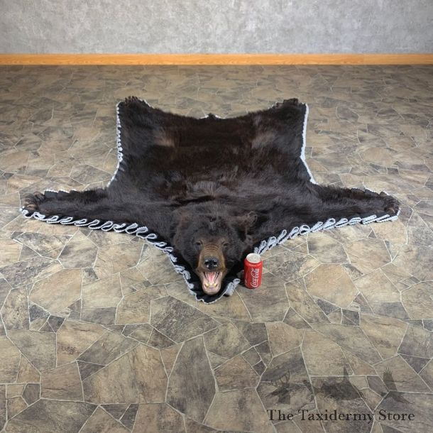 Black Bear Full-Size Rug For Sale #24000 @ The Taxidermy Store