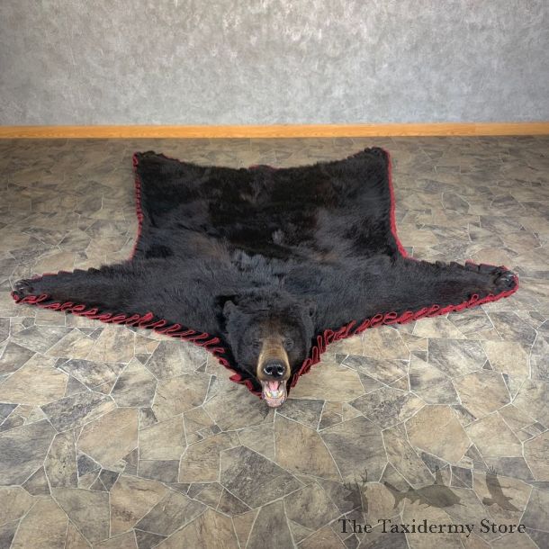Black Bear Full-Size Rug For Sale #24001 @ The Taxidermy Store