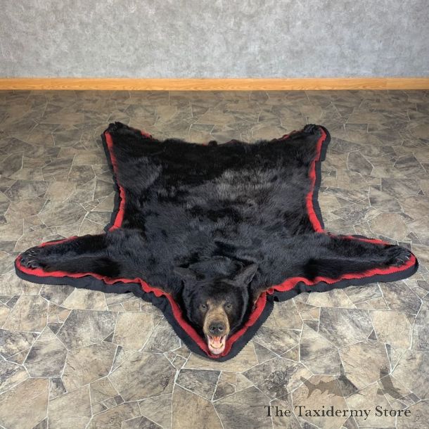 Black Bear Full-Size Rug For Sale #24003 @ The Taxidermy Store