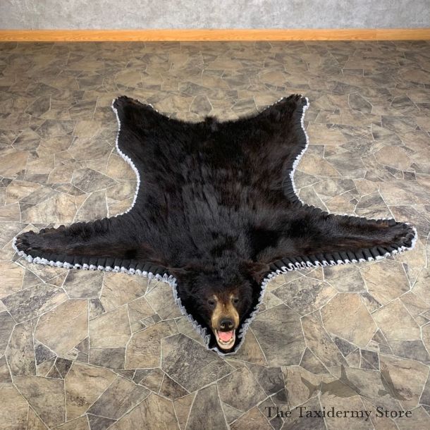Black Bear Full-Size Rug For Sale #24006 @ The Taxidermy Store