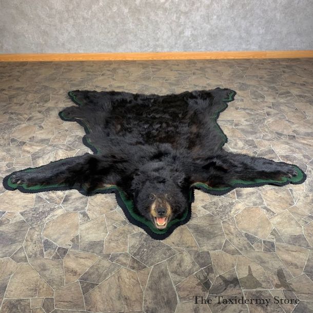 Black Bear Full-Size Rug For Sale #24007 @ The Taxidermy Store