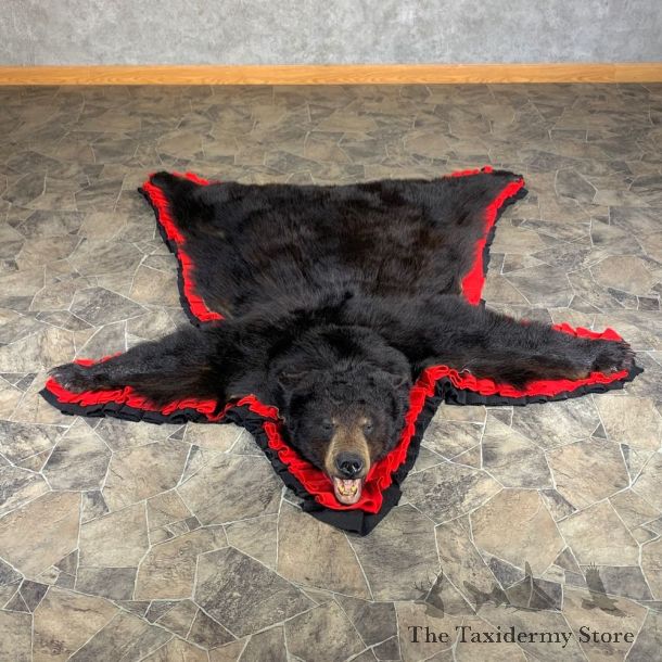 Black Bear Full-Size Rug For Sale #24009 @ The Taxidermy Store