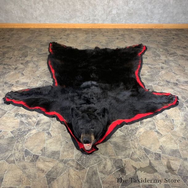 Black Bear Full-Size Rug For Sale #24011 @ The Taxidermy Store