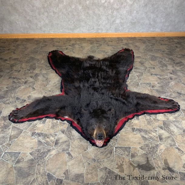 Black Bear Full-Size Rug For Sale #24012 @ The Taxidermy Store