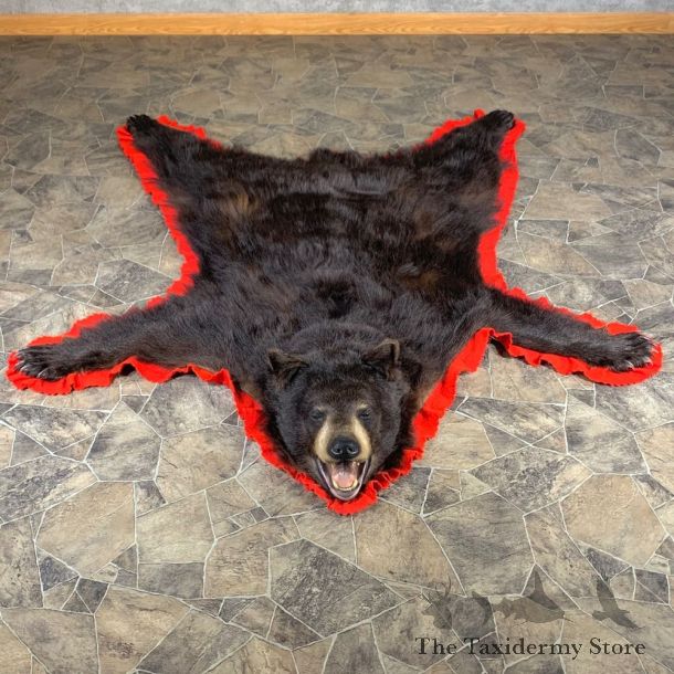 Black Bear Full-Size Rug For Sale #24016 @ The Taxidermy Store