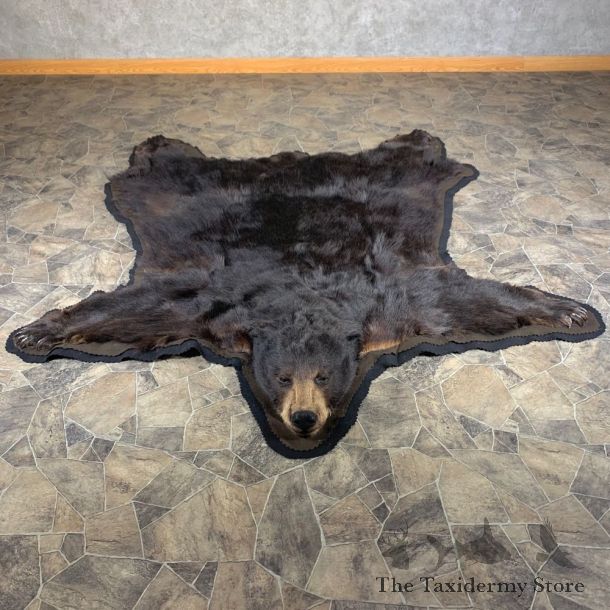 Black Bear Full-Size Rug For Sale #24017 @ The Taxidermy Store