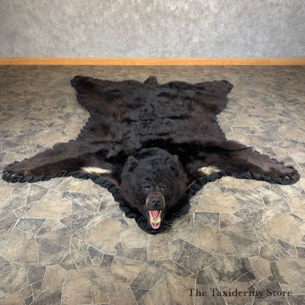 Black Bear Full-Size Rug For Sale #24018 @ The Taxidermy Store