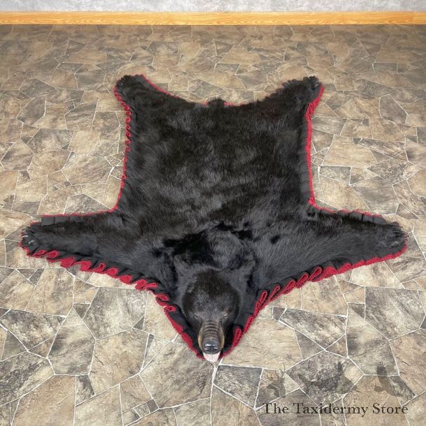 Black Bear Full-Size Rug For Sale #24175 @ The Taxidermy Store